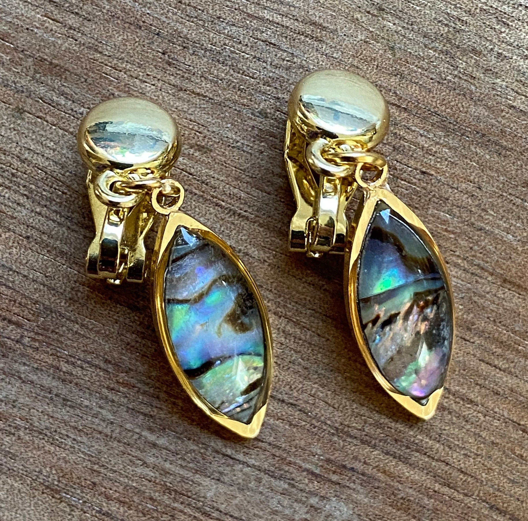 small sophisticated abalone clip on earrings with gold tone clip closures